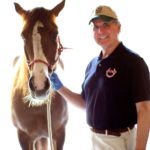 Ray Tricca, SBS EQUINE, co-founder